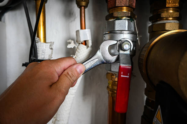 Best Plumbing Inspection Services  in Traer, IA